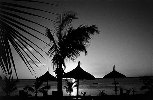 毛里求斯,布拉邦山,海岸,黄昏,沙滩伞,棕榈树,黑白