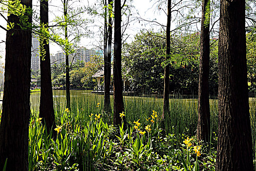 广州珠江公园