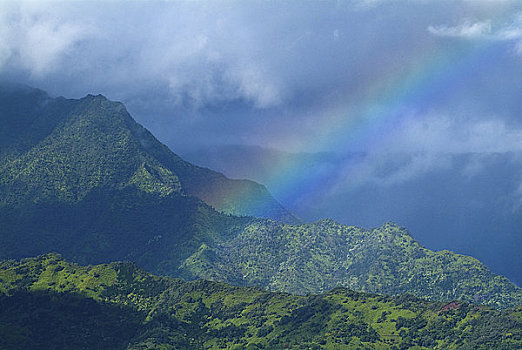 彩虹,上方,树林,自然保护区,考艾岛,夏威夷,美国