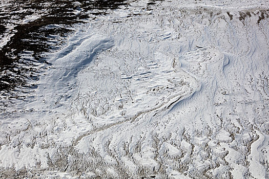 新疆硫磺沟的雪地飞龙