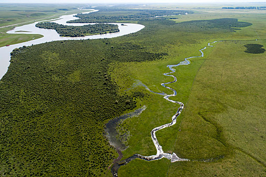 新疆昭苏特克斯河国家湿地公园