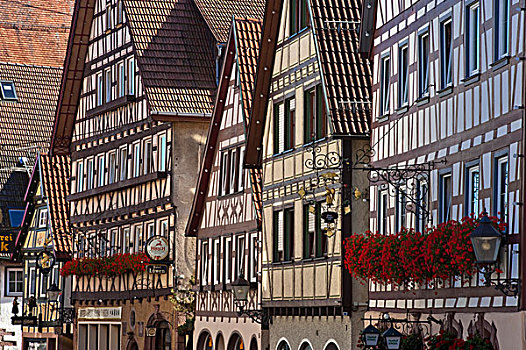 街道,半木结构,建筑,黑森林,巴登符腾堡,德国,欧洲