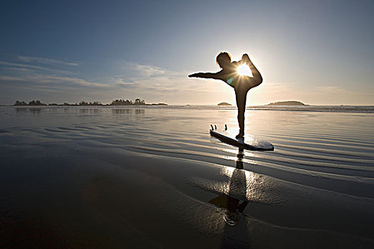 剪影,女性,冲浪,拉拽,瑜伽姿势,温哥华岛,不列颠哥伦比亚省,加拿大