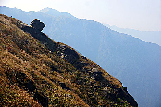 高山草甸