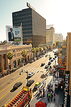 洛杉矶,五月,好莱坞,街道,风景,小,社区,家,世界闻名,电影业
