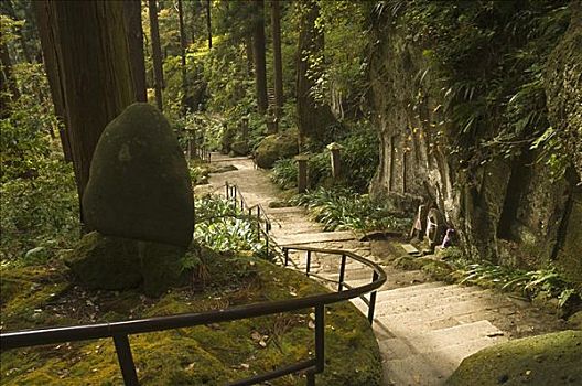 台阶,树林,本州,日本