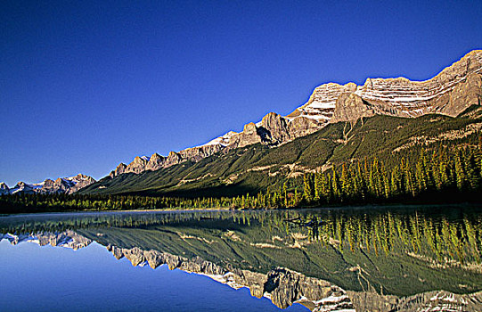 伦多山,反射,水塘,班芙国家公园,艾伯塔省,加拿大