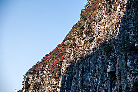 长江三峡瞿塘峡峡谷红叶