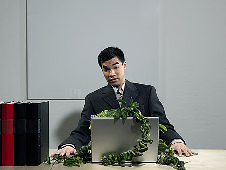 男人,书桌,植物