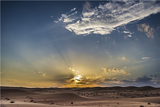 日落,沙漠,阿曼