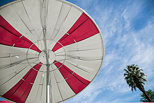 下面,伞,棕榈泉,加利福尼亚,美国