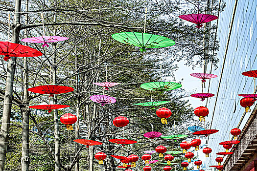 挂在树上的伞和红灯笼