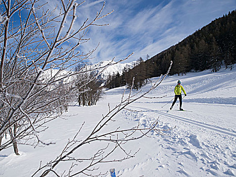美女,滑雪,瓦莱,瑞士