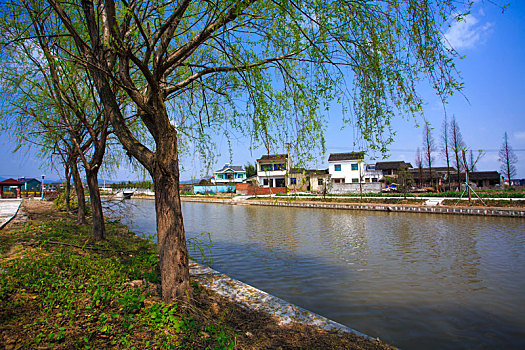 大湖契河,春天,公园