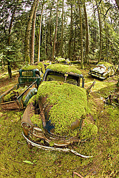 汽车,墓地,岛屿,不列颠哥伦比亚省,加拿大