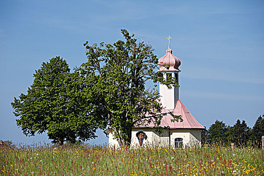 小教堂,西部,斯瓦比亚,巴伐利亚,德国,欧洲
