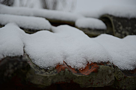 雪中小景