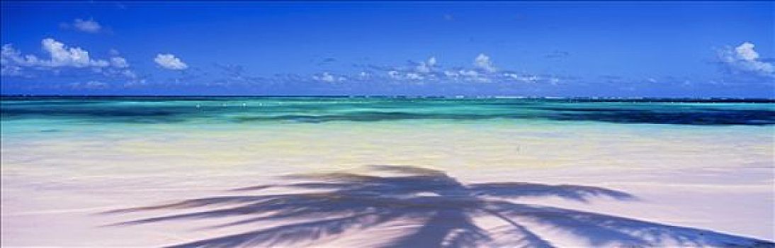 影子,棕榈树,海洋,蓬塔卡纳,圣多明各,岛屿,多米尼加共和国,加勒比海