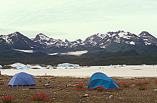 冰山,露营,阿尔西克湖,阿拉斯加,山峦,不列颠哥伦比亚省,加拿大