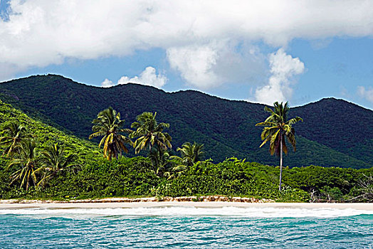 烟草,海滩,南,东海岸,安提瓜岛,西印度群岛,加勒比,中美洲