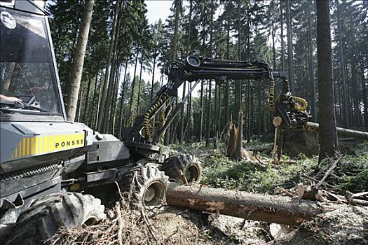 伐木工人,收割,林业