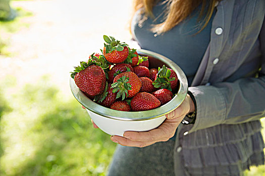 农场,女人,碗,有机,新鲜,草莓