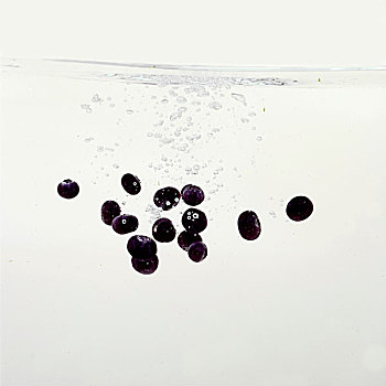 蓝莓,溅,水