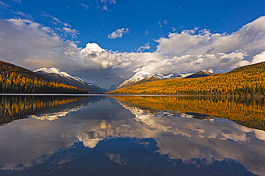 湖,冰川国家公园,蒙大拿,美国