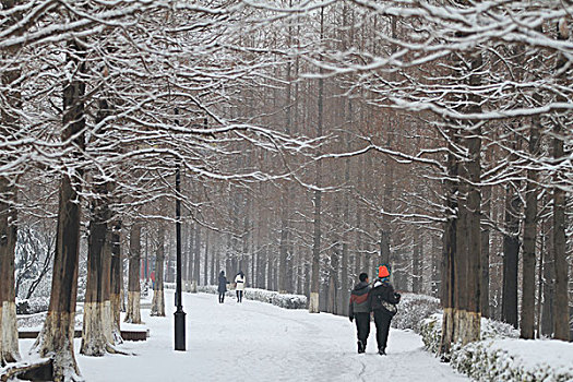 冬天的公园雪景图图片