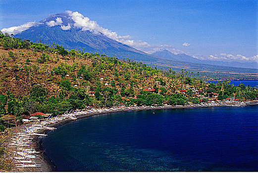 海岸线,树,山峦,巴厘岛,印度尼西亚