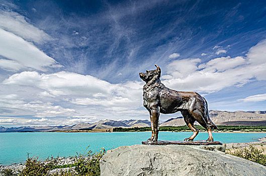 著名,狗,雕塑,牧羊犬,纪念建筑,农民,泰卡泊湖,南岛,新西兰