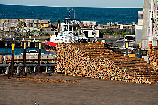新西兰,纳皮尔,水岸,港口,区域,装卸平台,木料,大幅,尺寸