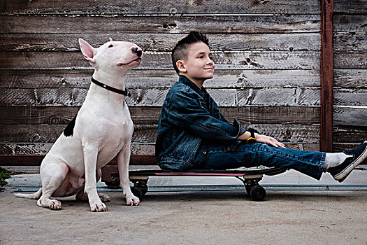 男孩,坐,滑板,旁侧,宠物,狗