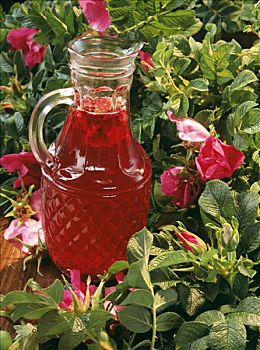 野玫瑰果,果汁,玻璃瓶