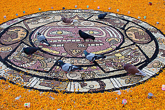 墨西哥,圣米格尔,街头艺术,传统,设计,谷物,种子,围绕,万寿菊,花瓣