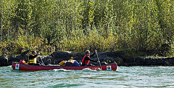 情侣,男人,女人,划船,独木舟,迅速,水,河,育空地区,加拿大