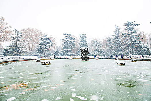 雪景