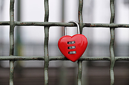 红色,挂锁,心形,喜爱,锁,栅栏,科隆,北莱茵威斯特伐利亚,德国,欧洲