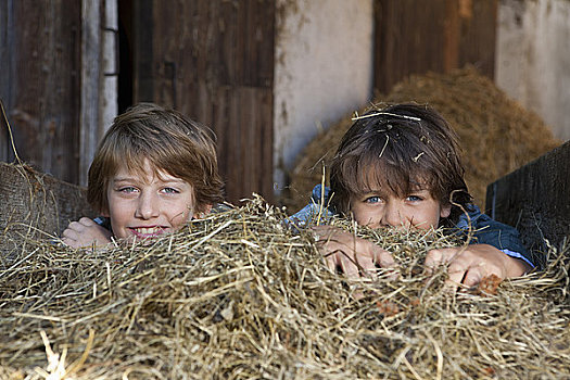 两个男孩,隐藏,干草,高兴