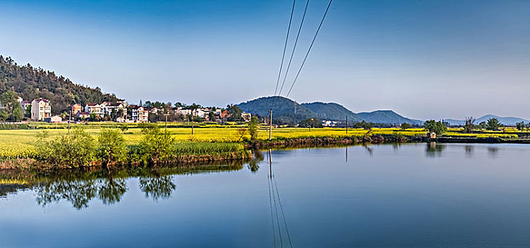 安徽省芜湖市响水涧油菜花田园乡村自然景观