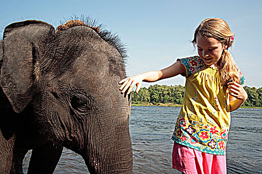 印度,印度南部,喀拉拉,女孩,孤儿,大象,沐浴,河,佩里亚