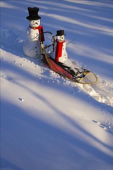 大,小,雪人,乘,狗拉雪橇,大雪,下午,室内,费尔班克斯,阿拉斯加,冬天
