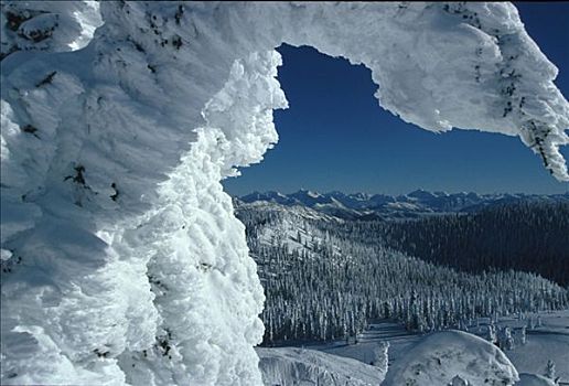 落基山脉,蒙大拿,雪,框架,树林,冬天,天空,风景,树