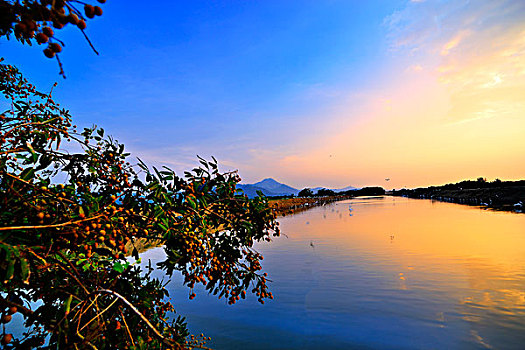 汕尾,池塘,夕阳,日落,鸟,自然生态,水面