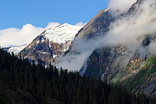 美国,阿拉斯加,手臂,树林,陡峭,山