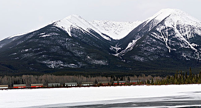 雪冠,山峦,班芙,艾伯塔省,加拿大