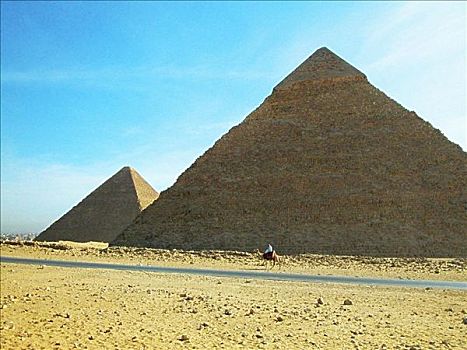 男人,骆驼,正面,金字塔,吉萨金字塔,开罗,埃及