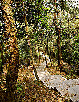 杭州西山游步道