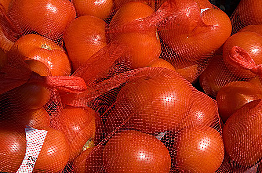 西红柿,洛杉矶,农民,市场
