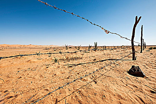 刺铁丝网,阿卡库斯,沙漠,撒哈拉沙漠,利比亚